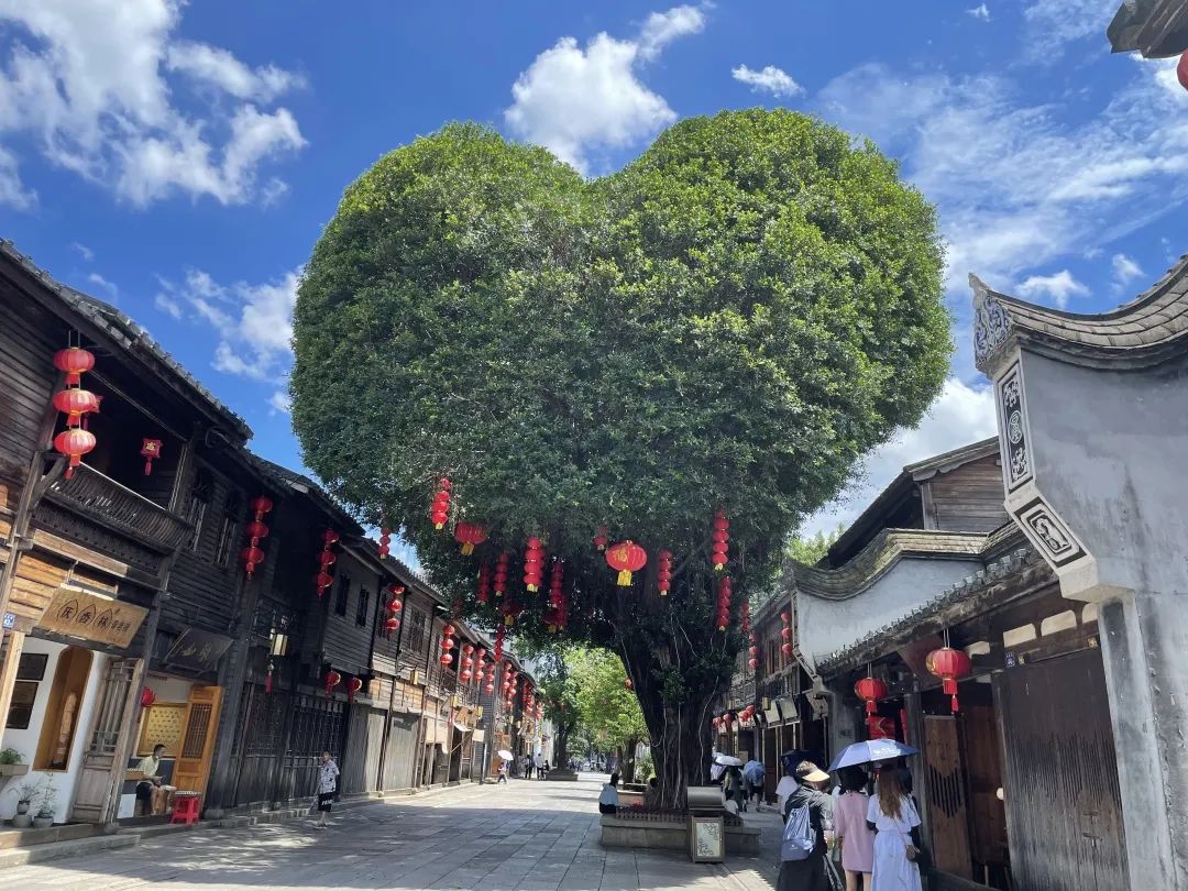在福州的三坊七巷歷史文化街里，親眼見到了這棵愛心樹