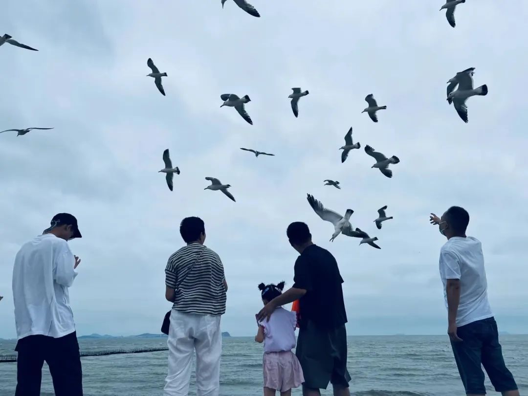人約山海間，翩然見天地，抵達(dá)目的地的銘品家人們，第一時間去海邊漫步，感受傍晚的溫柔海風(fēng)。